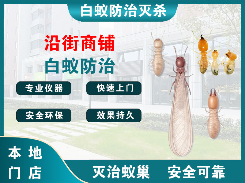 长宁沿街商铺白蚁防治