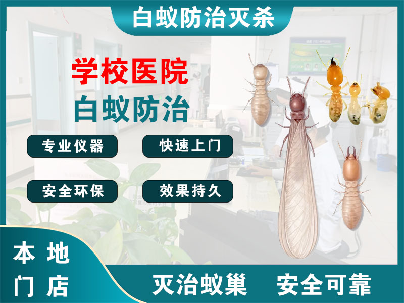 长宁学校医院白蚁防治