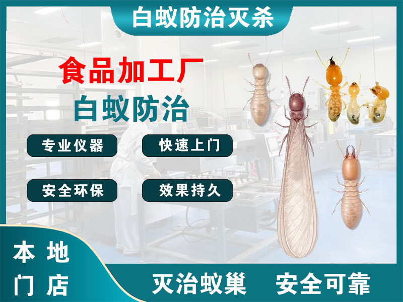 长宁食品加工厂白蚁防治