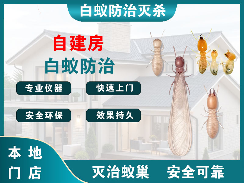 长宁自建房白蚁防治