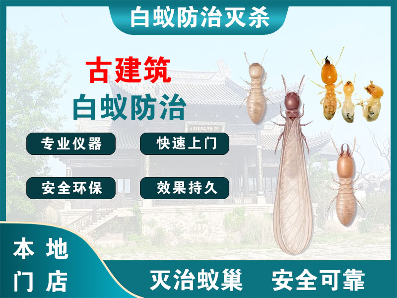 长宁古建筑白蚁防治
