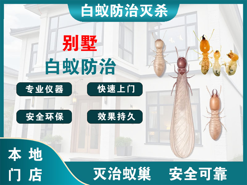 长宁别墅白蚁防治
