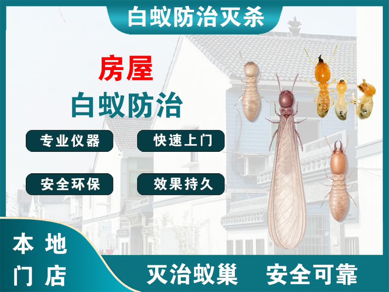 长宁房屋白蚁防治